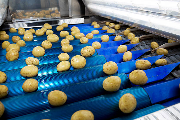 Food & Beverage Industry