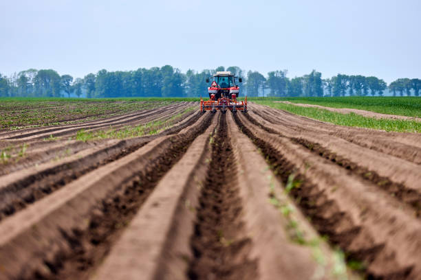 Agricoltura & Orticoltura