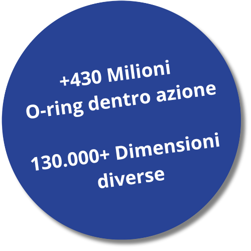 Etichetta blu con il testo "+430 Milioni O-ring dentro azione, 130.000+ Dimensioni diverse."