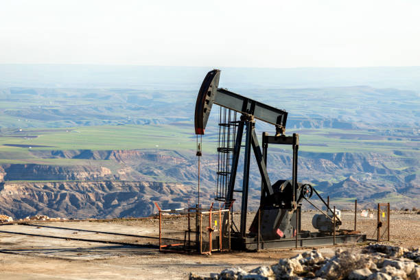 Industria Petrolifera e del Gas