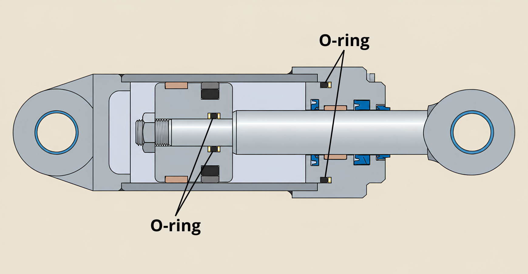Coupe transversale d’un vérin hydraulique montrant les emplacements d’étanchéité statique des joints toriques