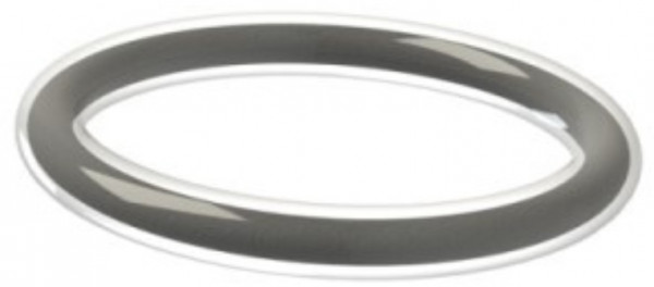 O-ring 354.97x5.33 - FEP-FKM - FPM - Viton® - FDA - Schwarz - Durchscheinend - ORS113605